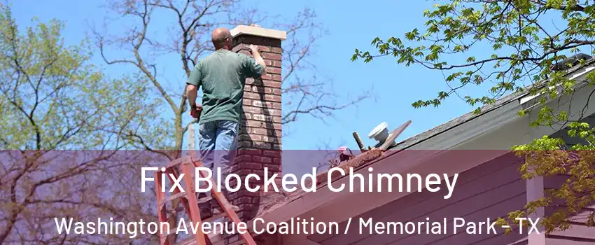 Fix Blocked Chimney Washington Avenue Coalition / Memorial Park - TX