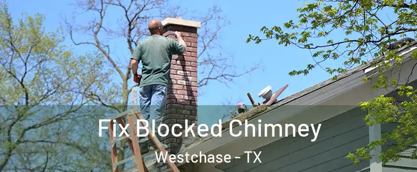 Fix Blocked Chimney Westchase - TX