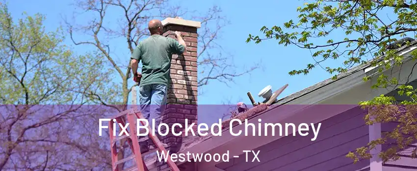 Fix Blocked Chimney Westwood - TX