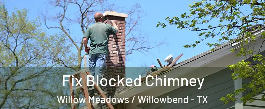 Fix Blocked Chimney Willow Meadows / Willowbend - TX