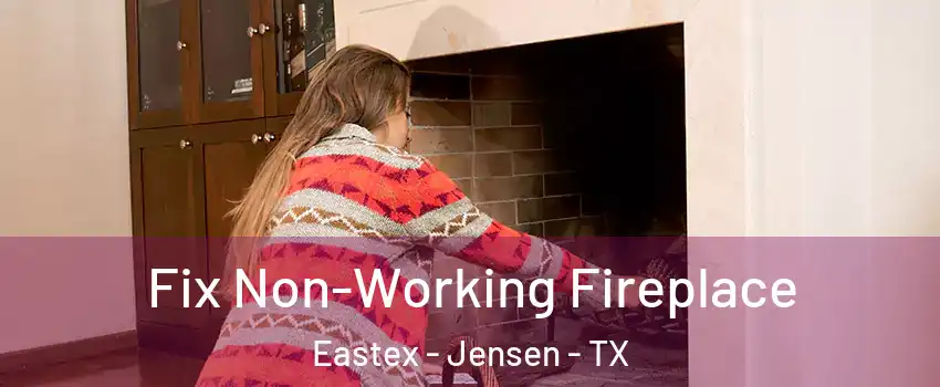 Fix Non-Working Fireplace Eastex - Jensen - TX