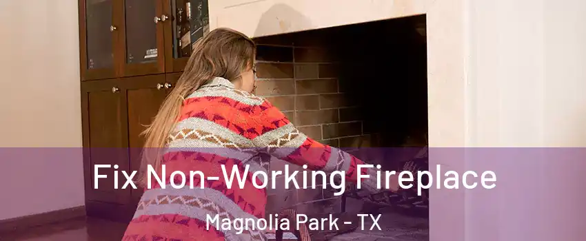 Fix Non-Working Fireplace Magnolia Park - TX