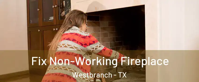 Fix Non-Working Fireplace Westbranch - TX