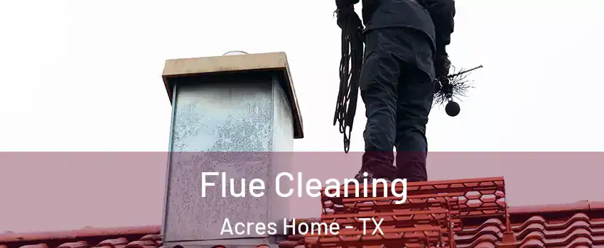 Flue Cleaning Acres Home - TX
