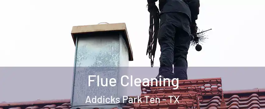 Flue Cleaning Addicks Park Ten - TX