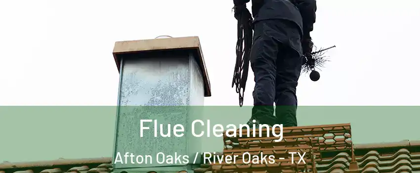 Flue Cleaning Afton Oaks / River Oaks - TX
