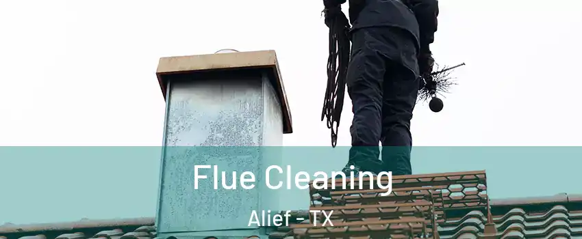 Flue Cleaning Alief - TX