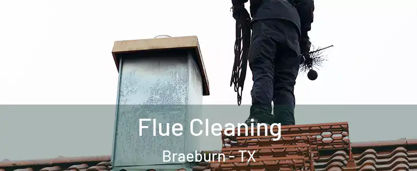 Flue Cleaning Braeburn - TX
