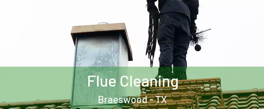 Flue Cleaning Braeswood - TX