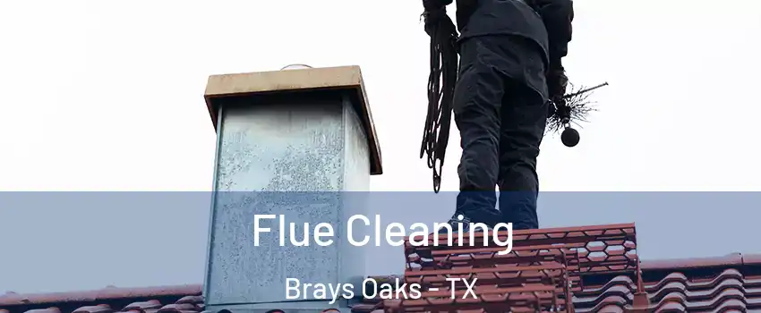 Flue Cleaning Brays Oaks - TX