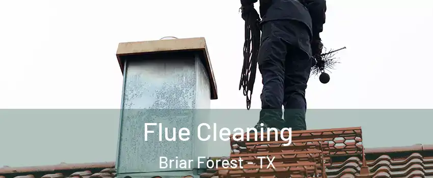 Flue Cleaning Briar Forest - TX