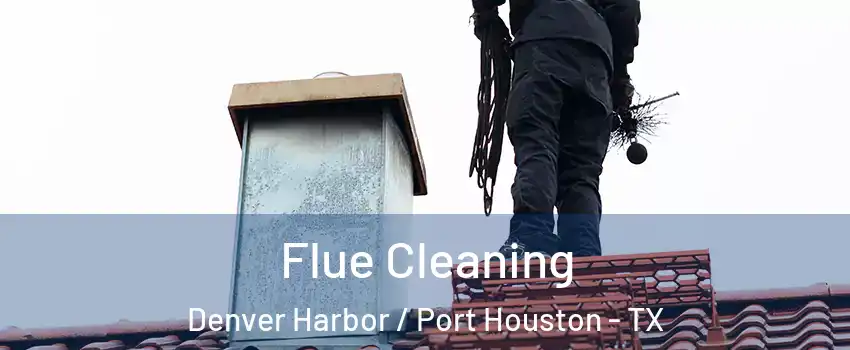 Flue Cleaning Denver Harbor / Port Houston - TX