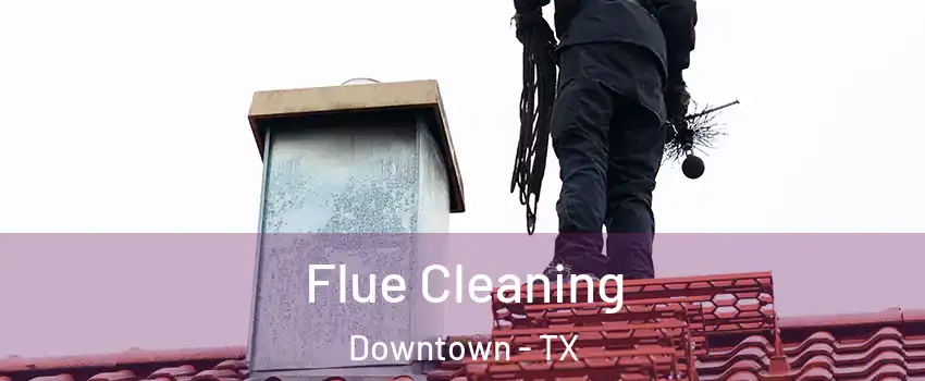 Flue Cleaning Downtown - TX