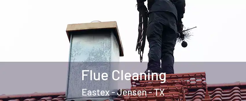 Flue Cleaning Eastex - Jensen - TX