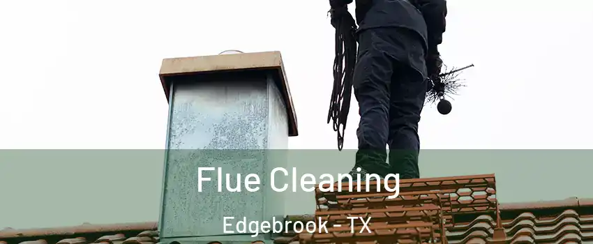 Flue Cleaning Edgebrook - TX