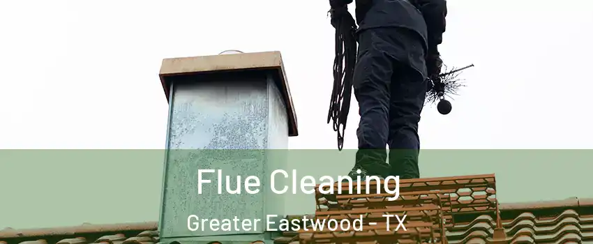 Flue Cleaning Greater Eastwood - TX