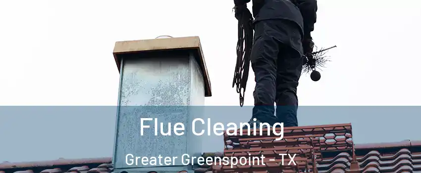 Flue Cleaning Greater Greenspoint - TX