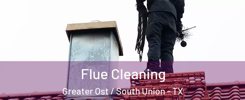 Flue Cleaning Greater Ost / South Union - TX