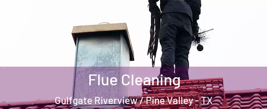 Flue Cleaning Gulfgate Riverview / Pine Valley - TX