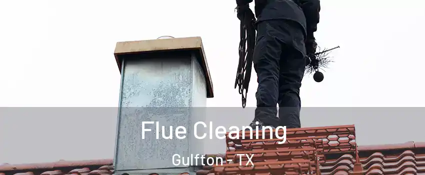 Flue Cleaning Gulfton - TX
