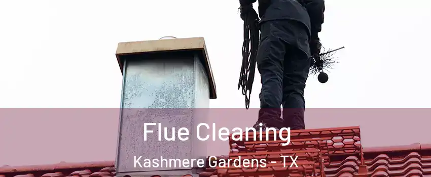Flue Cleaning Kashmere Gardens - TX