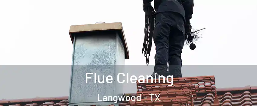 Flue Cleaning Langwood - TX