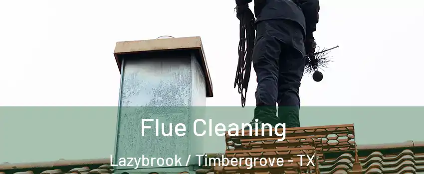 Flue Cleaning Lazybrook / Timbergrove - TX