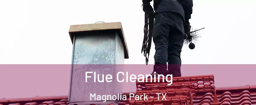 Flue Cleaning Magnolia Park - TX