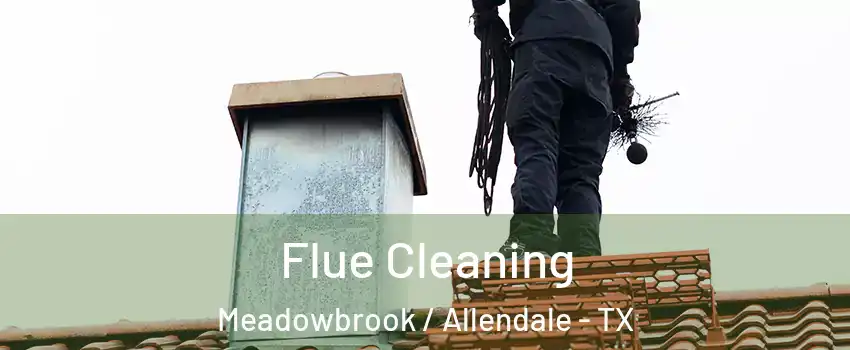 Flue Cleaning Meadowbrook / Allendale - TX