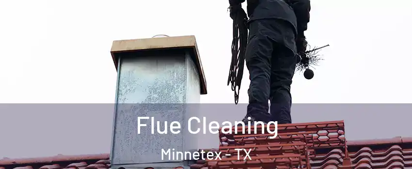 Flue Cleaning Minnetex - TX