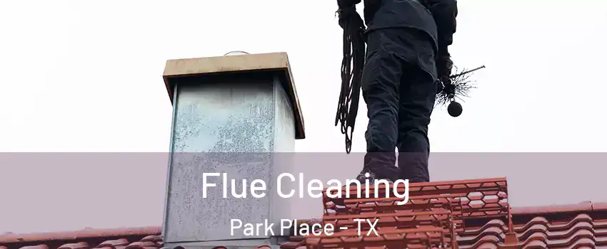 Flue Cleaning Park Place - TX