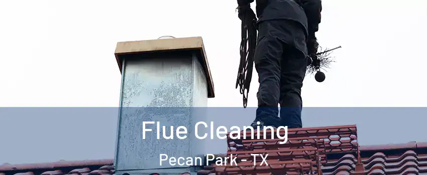 Flue Cleaning Pecan Park - TX