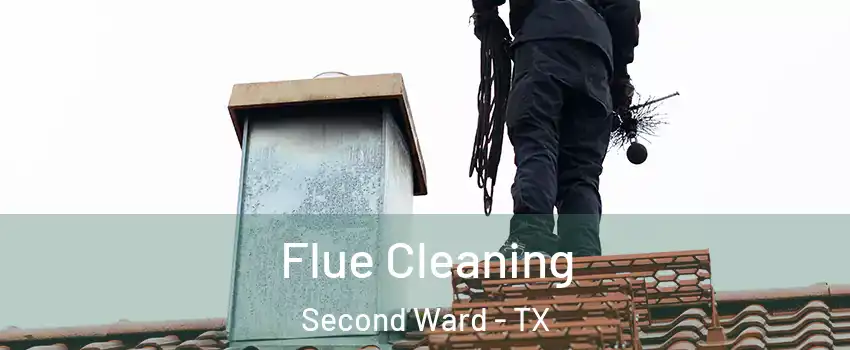 Flue Cleaning Second Ward - TX