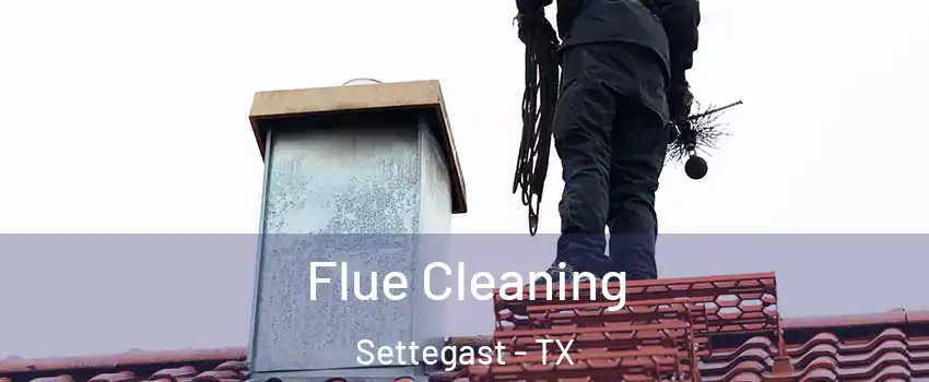 Flue Cleaning Settegast - TX