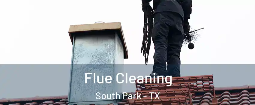 Flue Cleaning South Park - TX