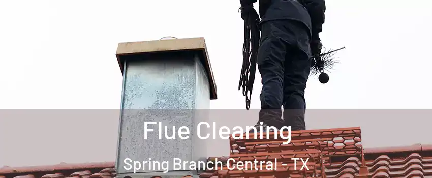 Flue Cleaning Spring Branch Central - TX