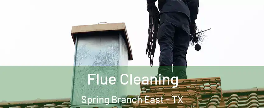 Flue Cleaning Spring Branch East - TX