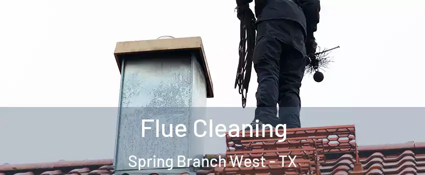 Flue Cleaning Spring Branch West - TX