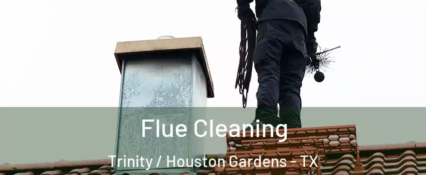 Flue Cleaning Trinity / Houston Gardens - TX