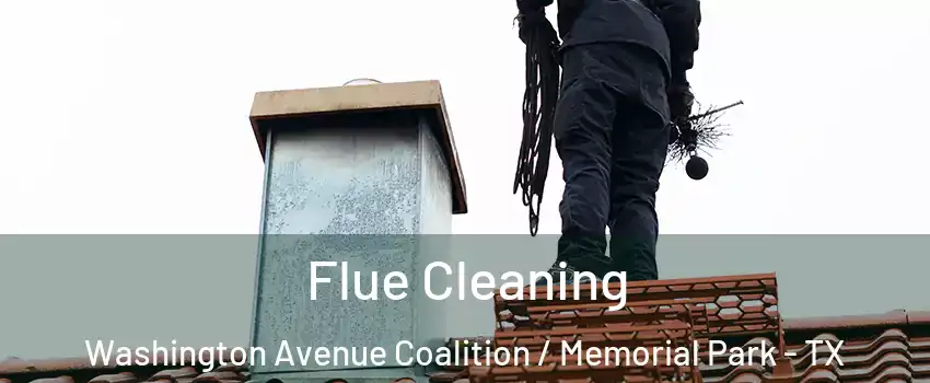 Flue Cleaning Washington Avenue Coalition / Memorial Park - TX