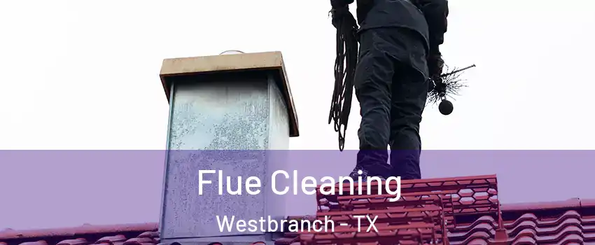 Flue Cleaning Westbranch - TX