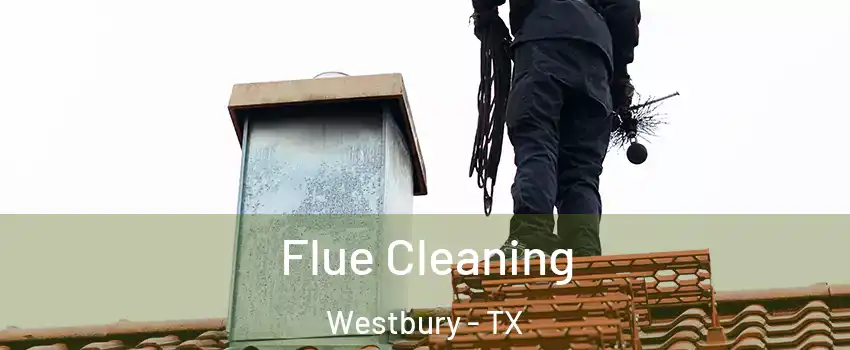 Flue Cleaning Westbury - TX