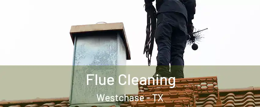 Flue Cleaning Westchase - TX