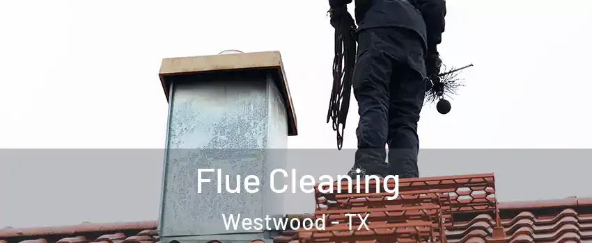Flue Cleaning Westwood - TX