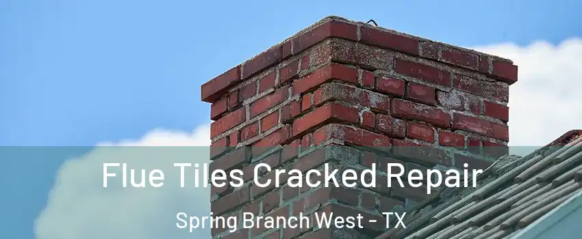 Flue Tiles Cracked Repair Spring Branch West - TX