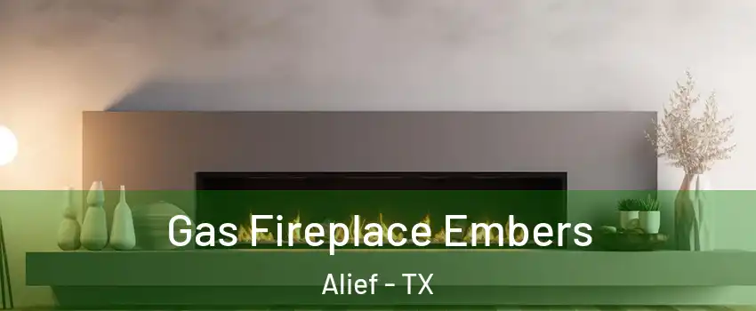 Gas Fireplace Embers Alief - TX