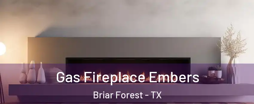 Gas Fireplace Embers Briar Forest - TX