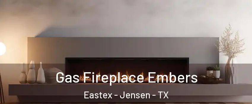 Gas Fireplace Embers Eastex - Jensen - TX