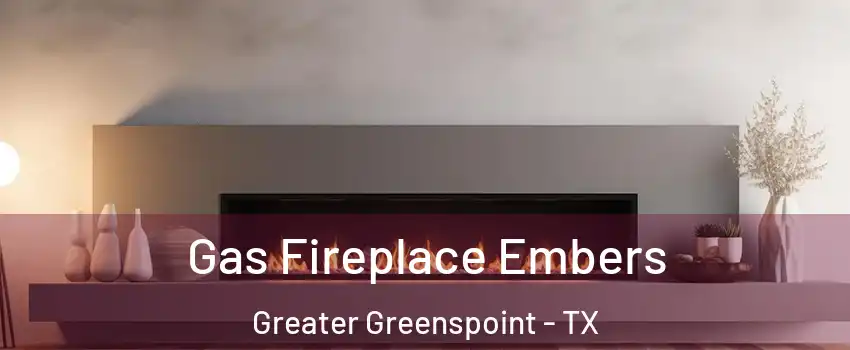 Gas Fireplace Embers Greater Greenspoint - TX