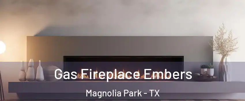 Gas Fireplace Embers Magnolia Park - TX